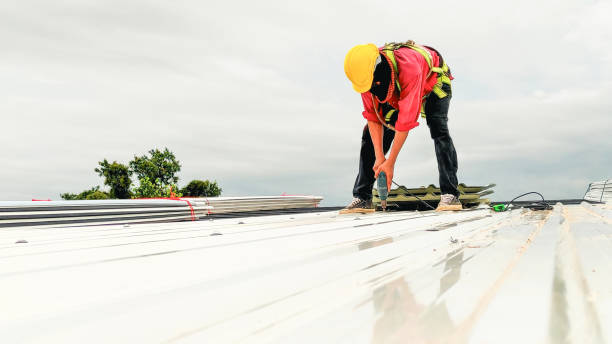 Best Roof Coating and Sealing  in Jefferson, NC